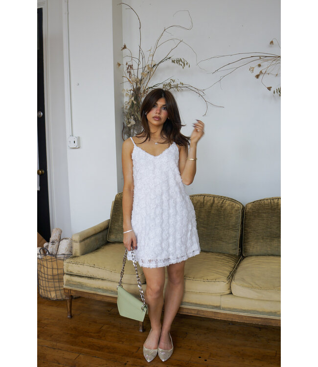 Elsie Mini Dress
