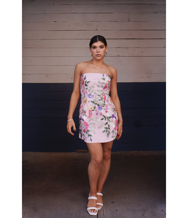 Make Me Smile Mini Dress