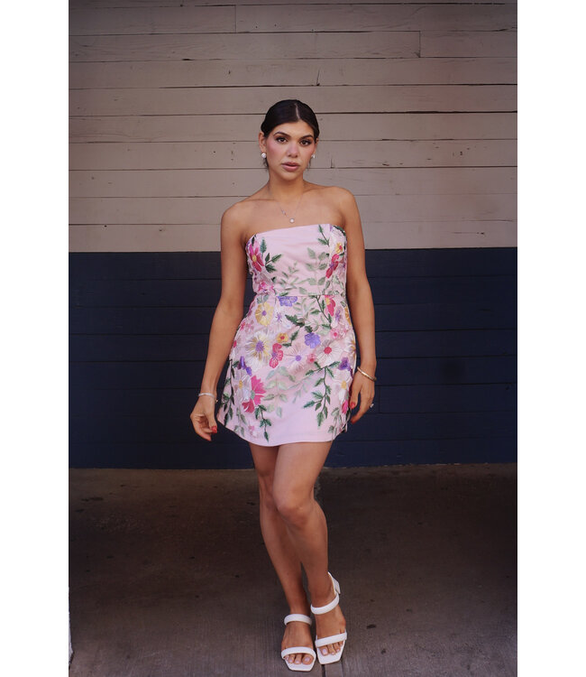 Make Me Smile Mini Dress