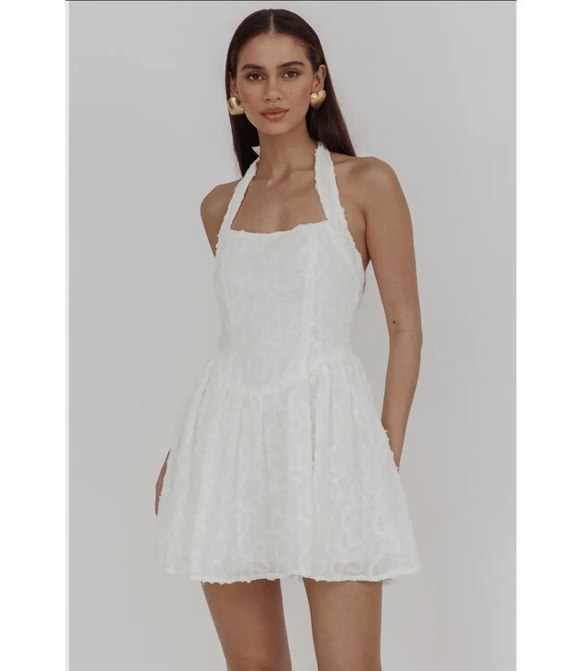 Have My Heart Mini Dress