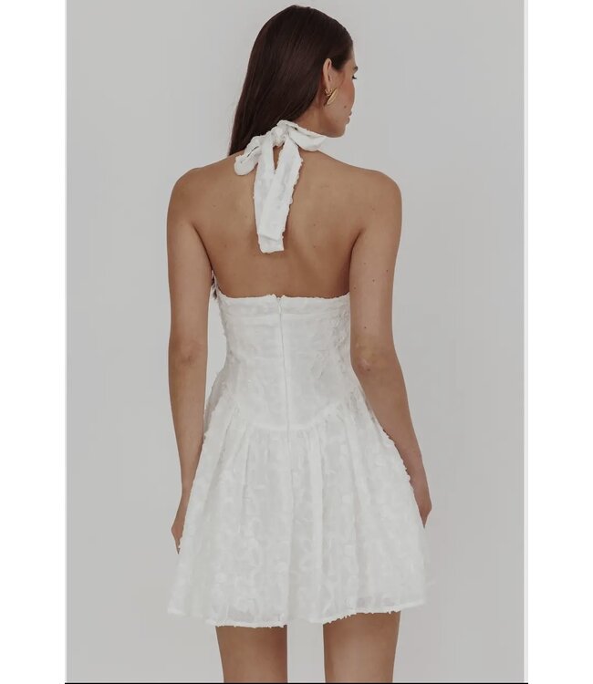 Have My Heart Mini Dress