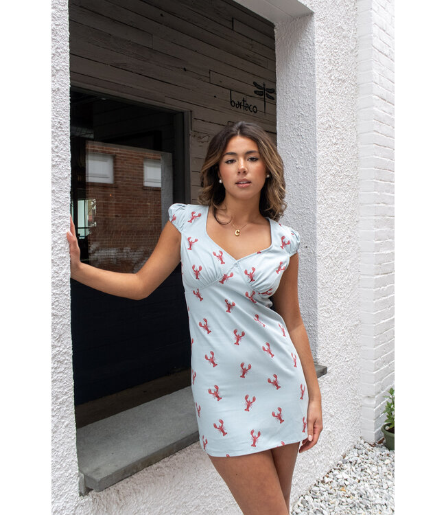 New Englander Mini Dress