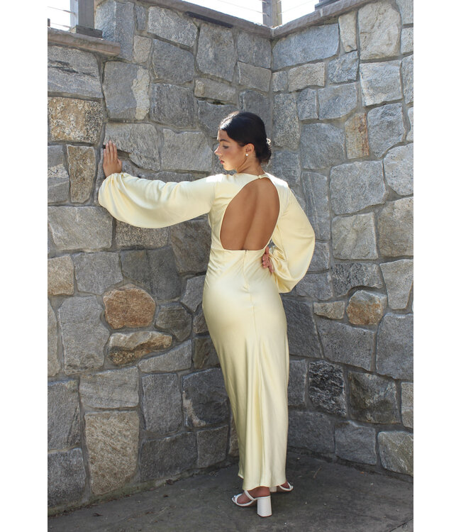 Santa Rosa Maxi Dress