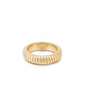 Your Essential Ring