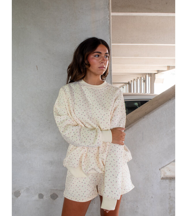 Meadow Mornings Pullover
