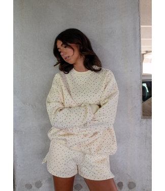 Meadow Mornings Pullover