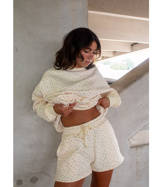 Meadow Mornings Pullover