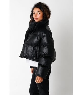 Icebox Puffer Jacket