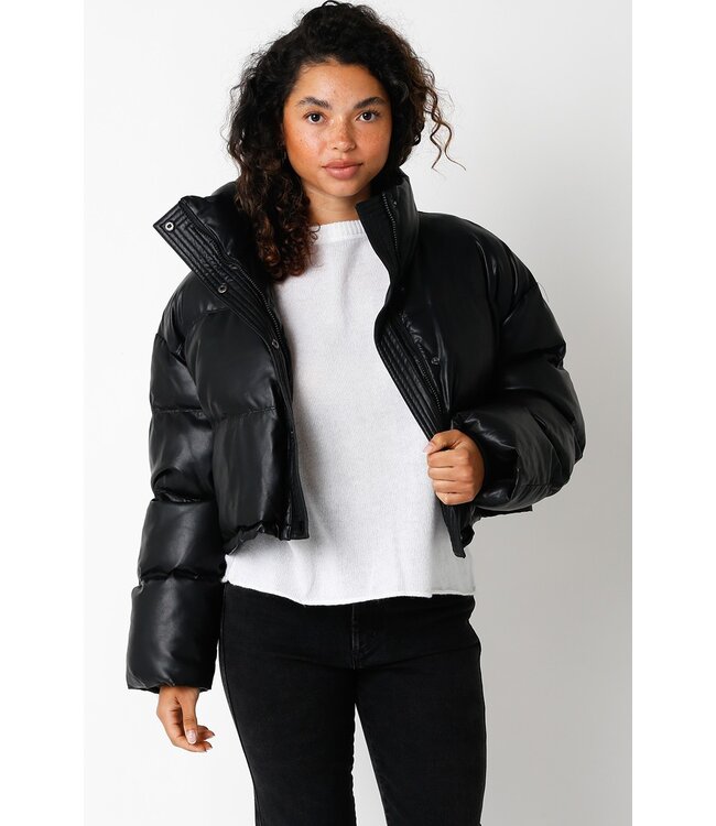 Icebox Puffer Jacket