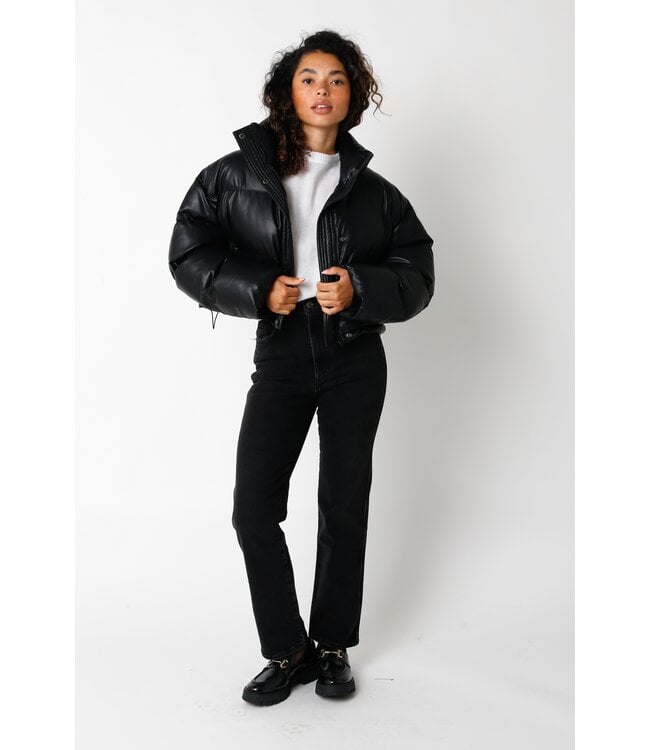 Icebox Puffer Jacket