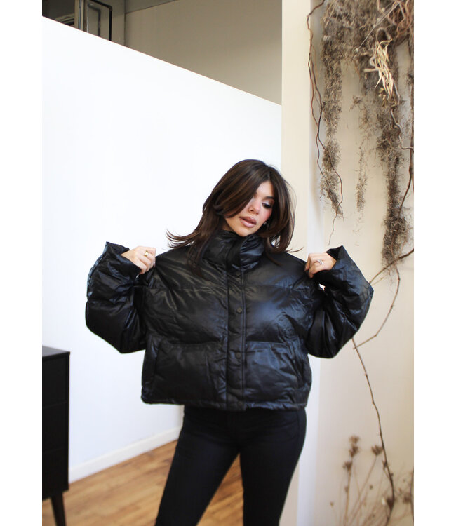 Icebox Puffer Jacket