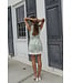 Sweet Magnolia Mini Dress