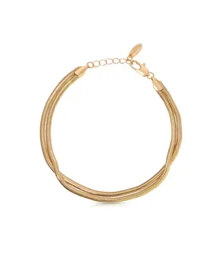 Slinky Double Anklet