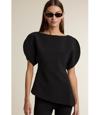 Evening Desire Top