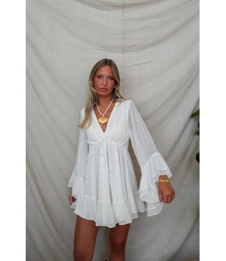 Villa Rosa Mini Dress