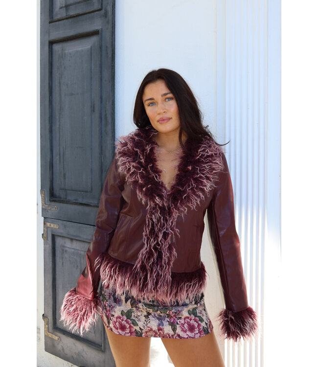 Wild Nights Jacket