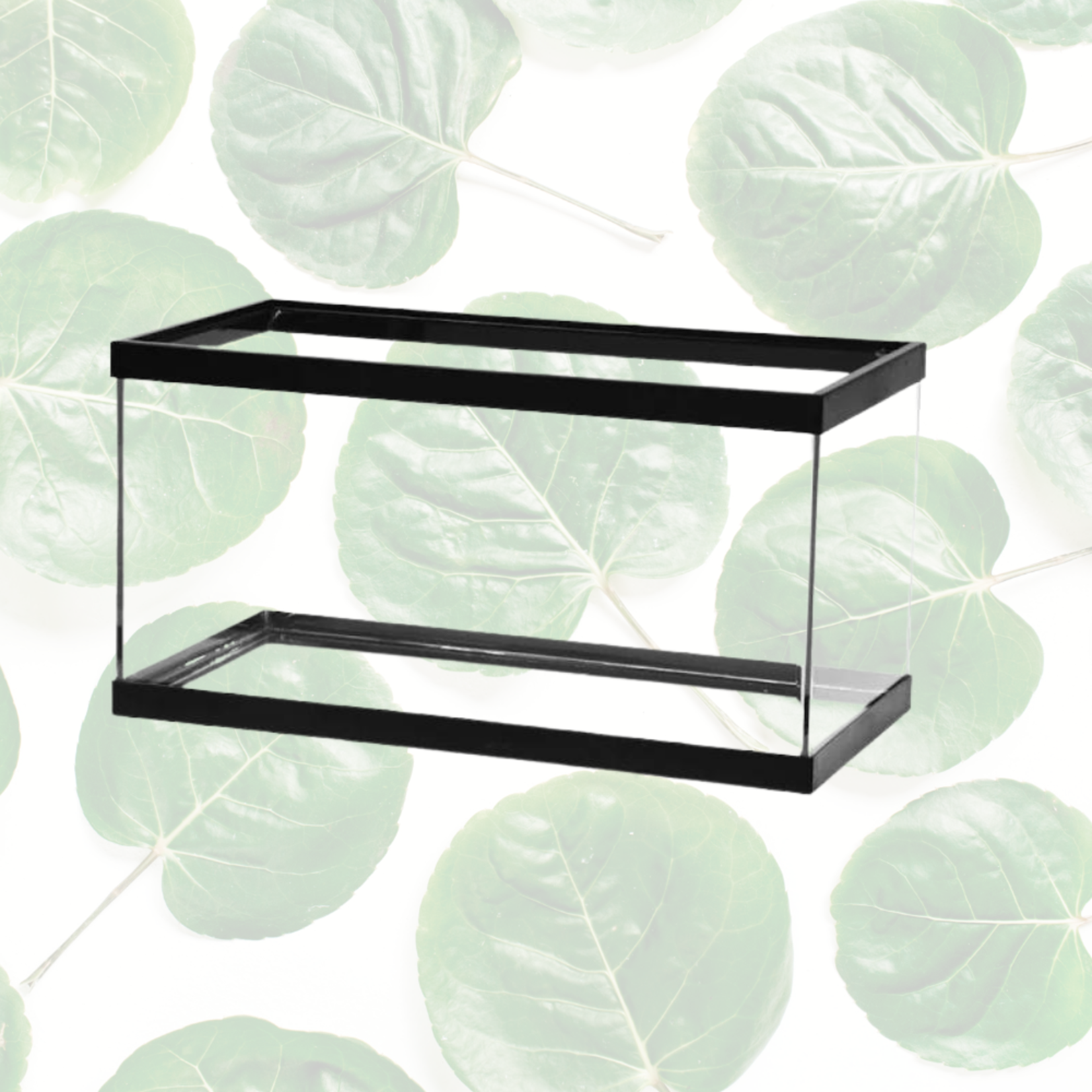 Aqueon Black Breeder Tank 15gal 24 x 12 x 12"