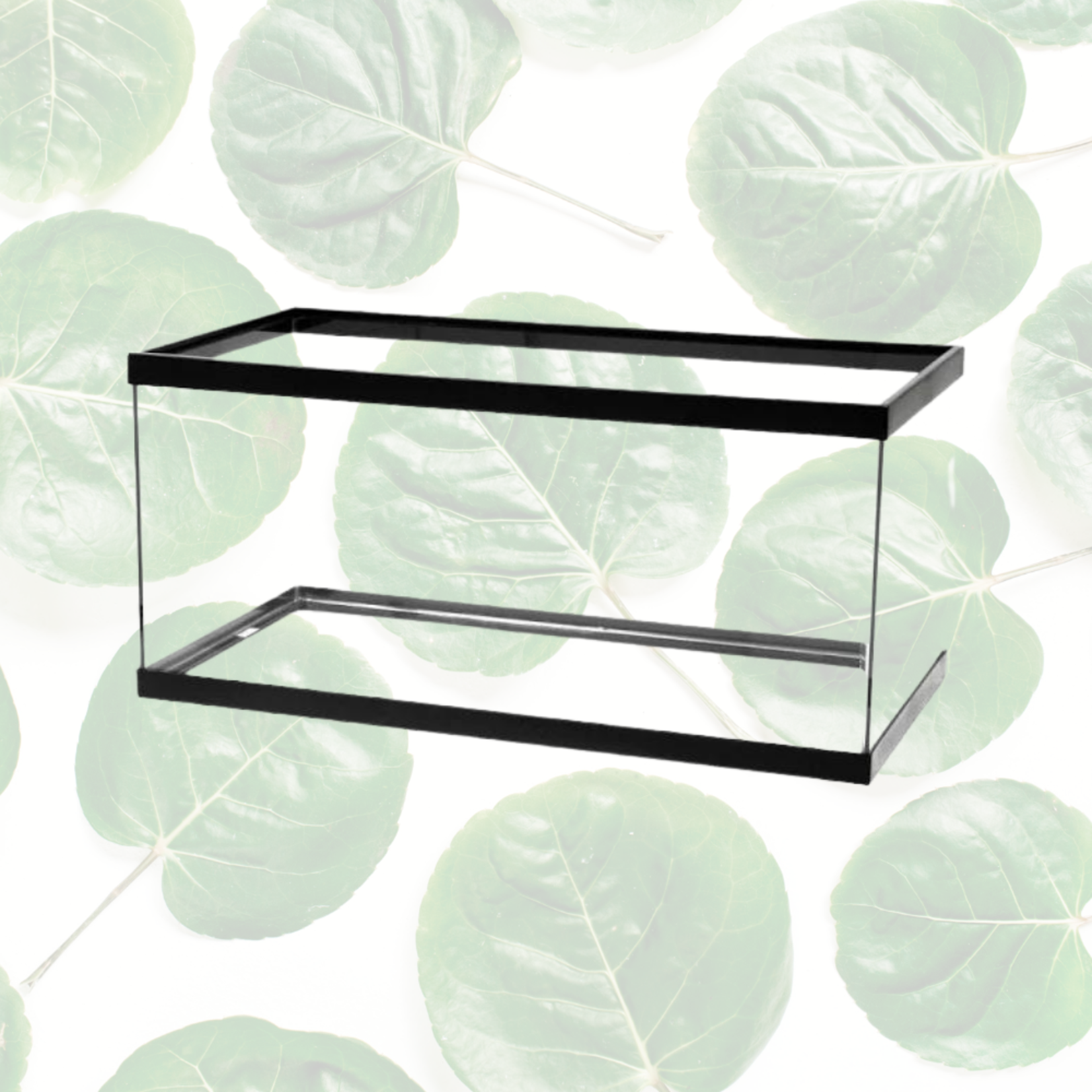 Aqueon Black Breeder Tank 40gal 36 x 18 x 16"