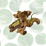 Zoo Med African Mopani Wood 10-12" Medium