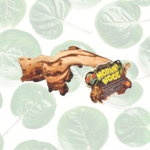Zoo Med African Mopani Wood 6-8" Small