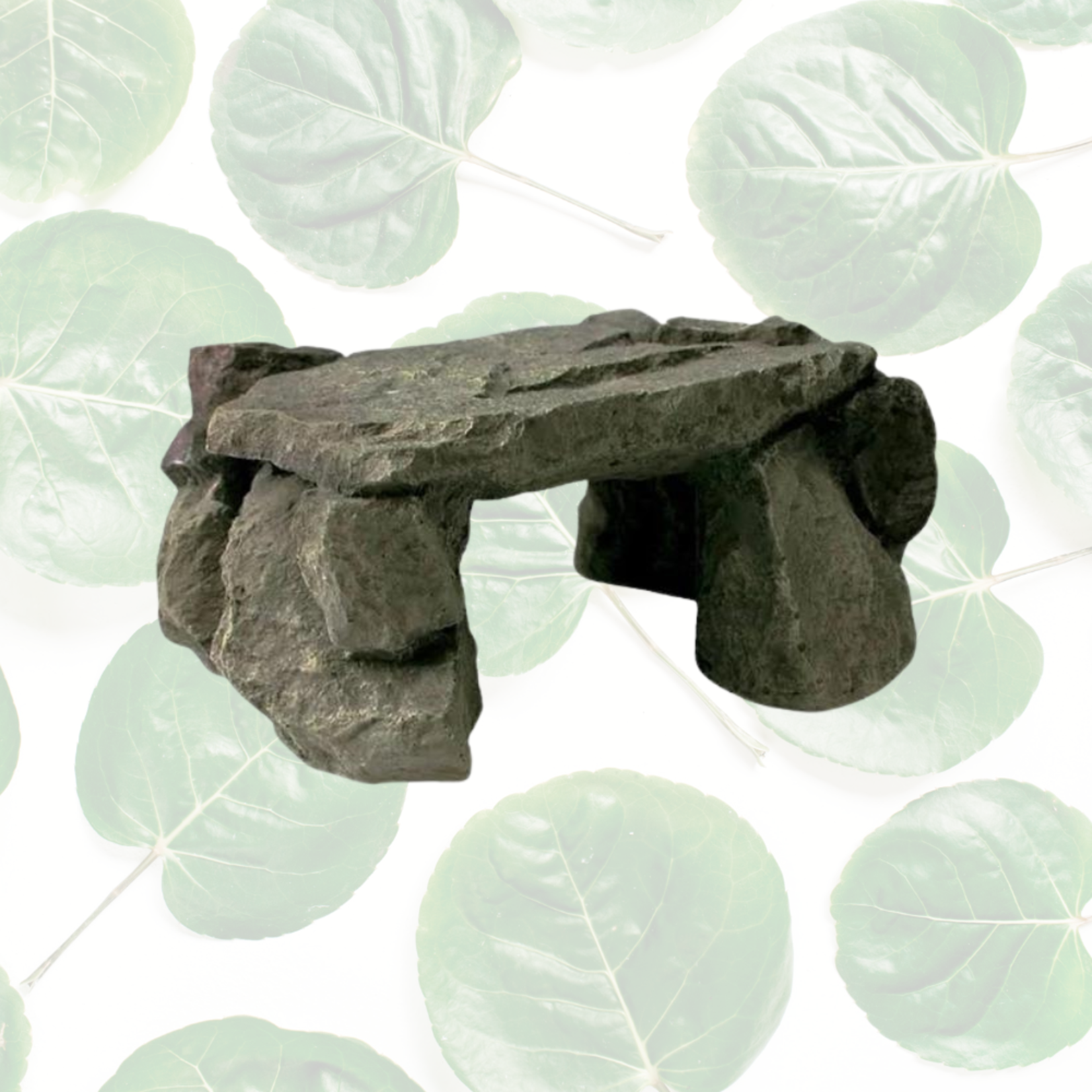 Zilla Rock Den Shale Medium w/ Ramp