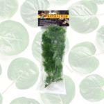 Zoo Med Borneo Star Medium