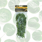 Zoo Med Mexican Phyllo Medium