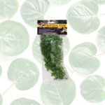 Zoo Med Congo Ivy Small