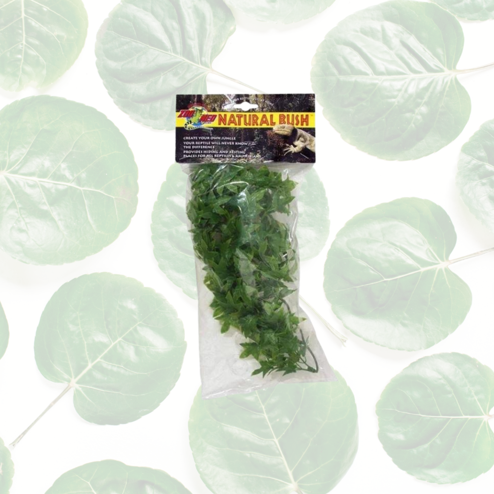 Zoo Med Congo Ivy Small