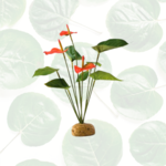 Exo Terra Rainforest Plant Anthurium Bush