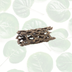 Exo Terra Cholla Cactus Skeleton Medium - 3.3 x 7.7"