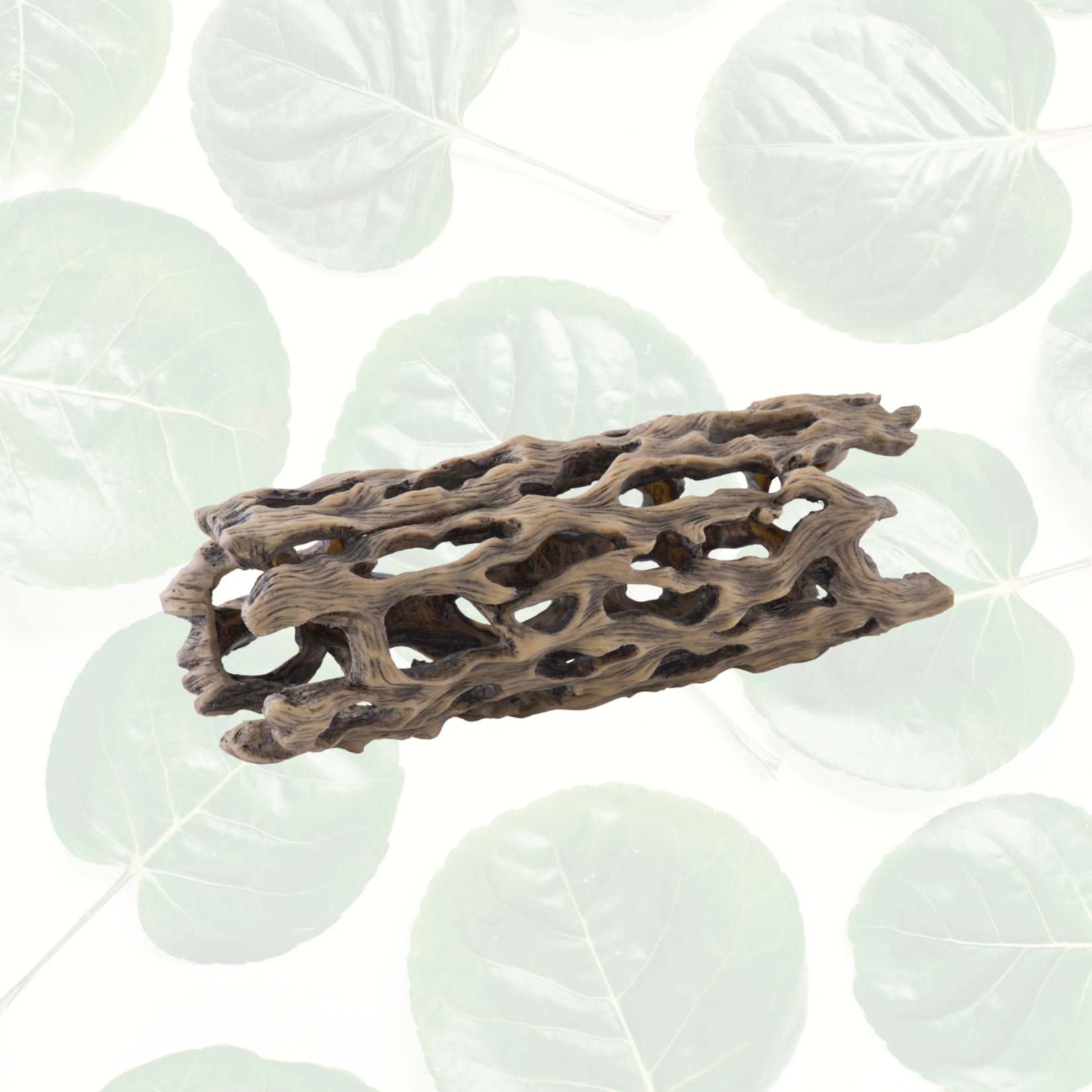 Exo Terra Cholla Cactus Skeleton Large - 4.5 x 11"