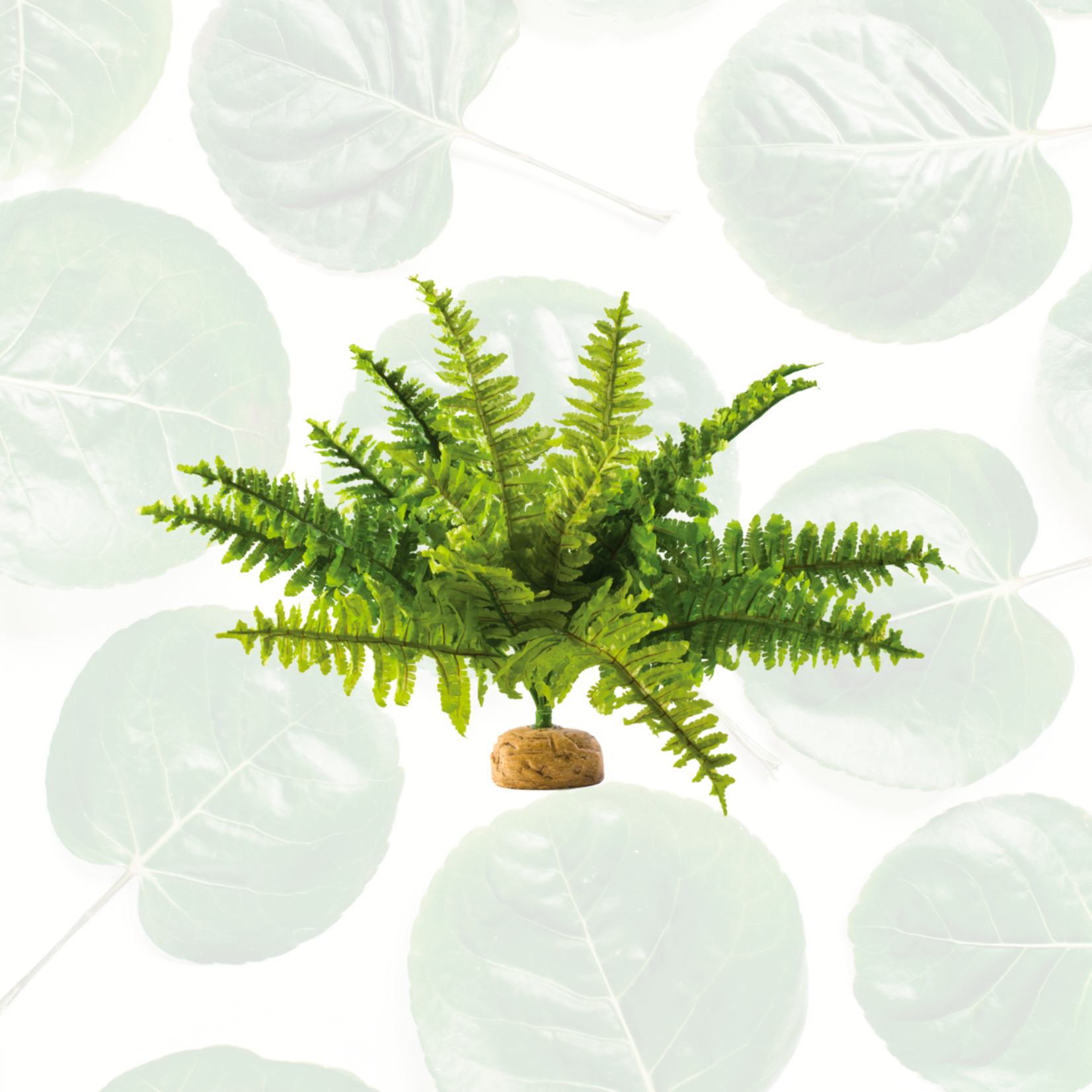 Exo Terra Rainforest Plant Boston Fern Medium