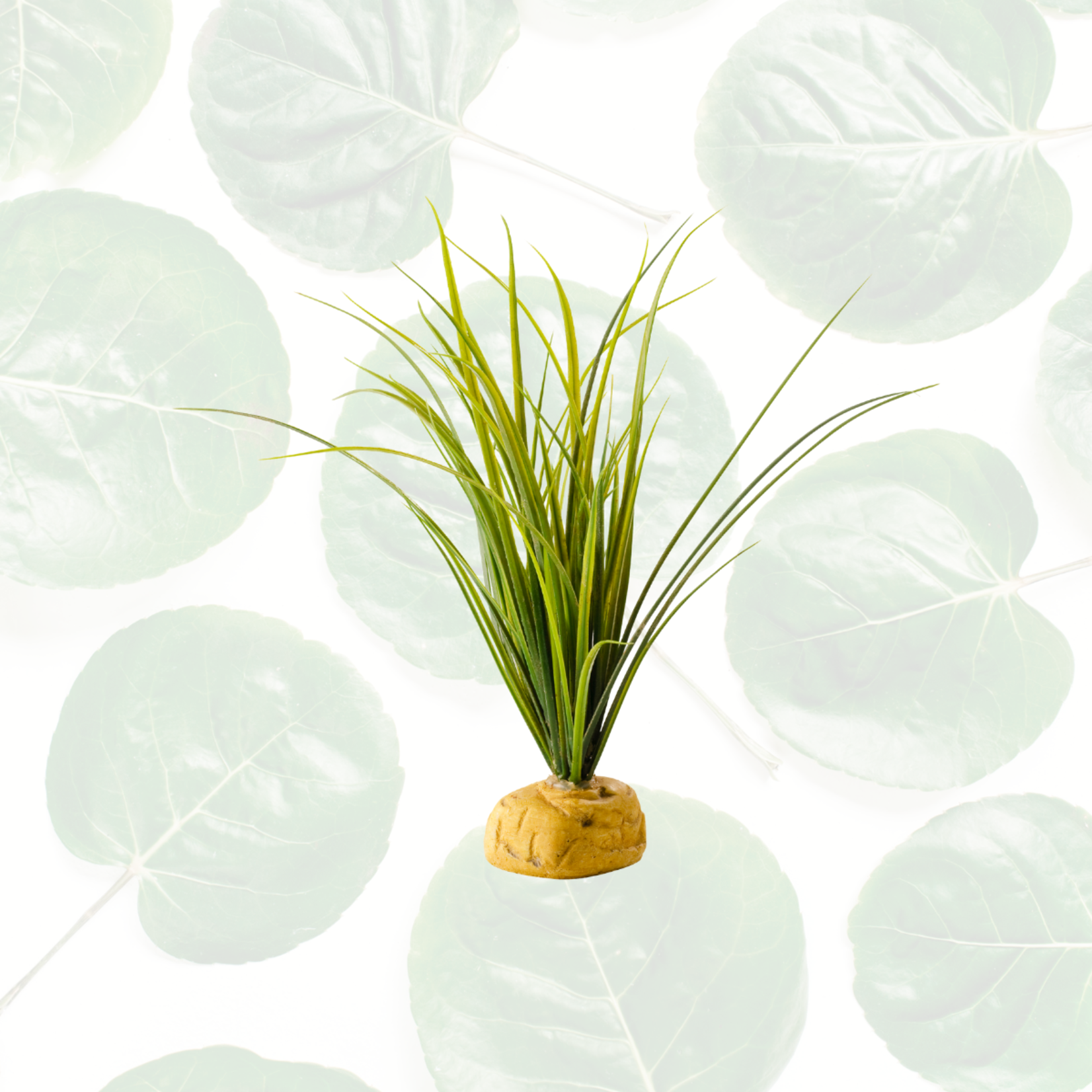 Exo Terra Turtle Grass Aquatic Ground Plant