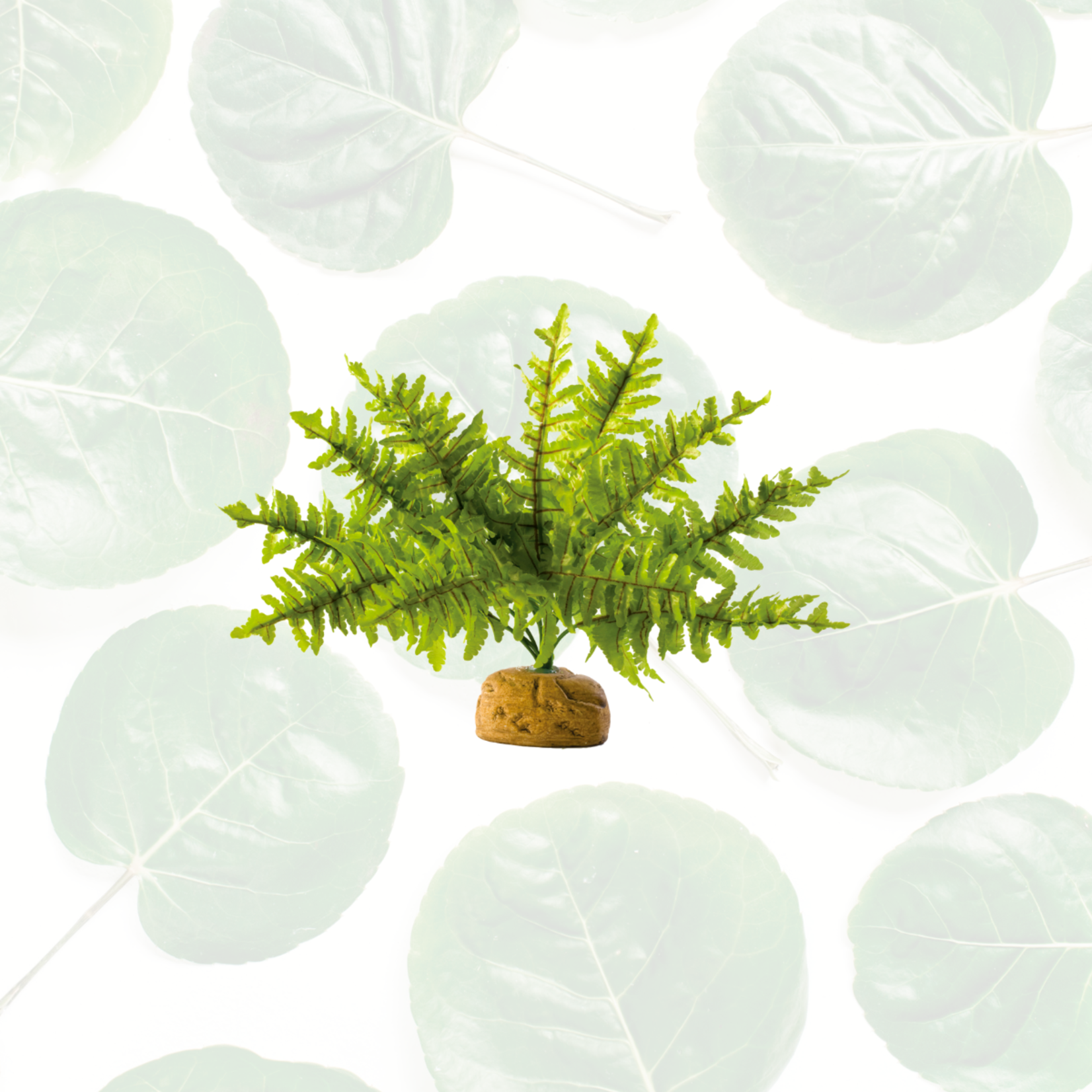 Exo Terra Rainforest Plant Boston Fern Small