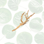 Exo Terra Forest Branch - Sandblasted Grapevine Medium