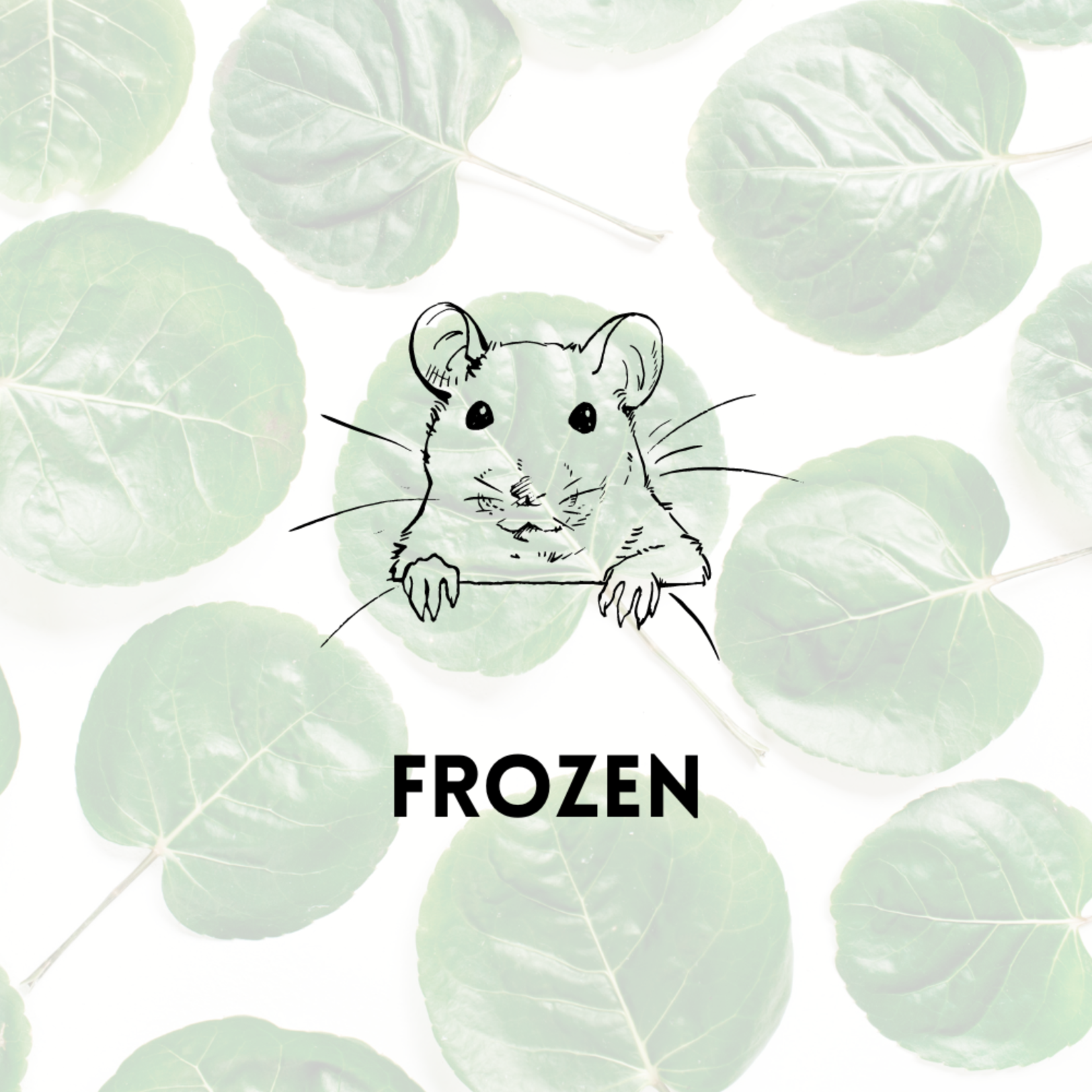 Frozen Feeder Mouse