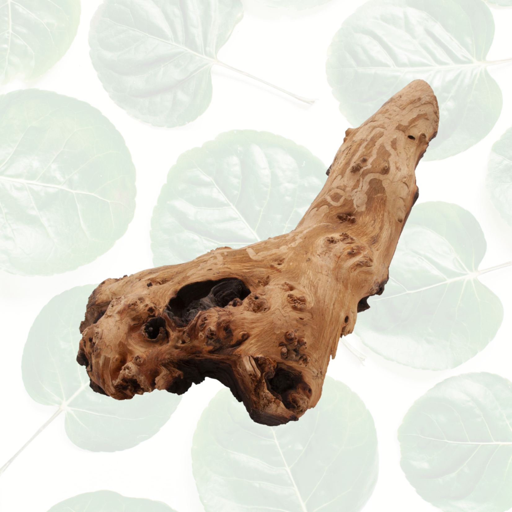 Zoo Med African Mopani Wood 20-24" Jumbo