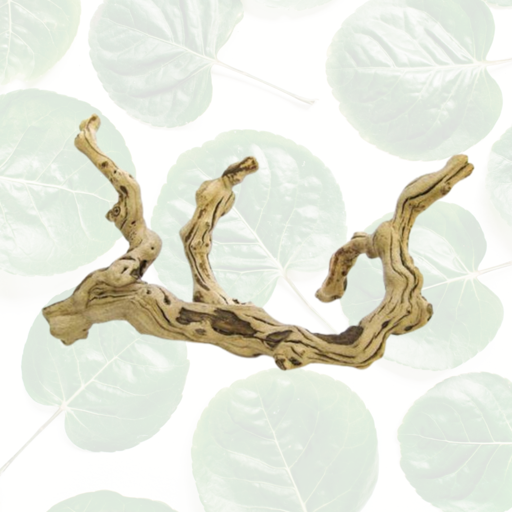 Zoo Med Sandblasted Grapevine 30-40" Show Size