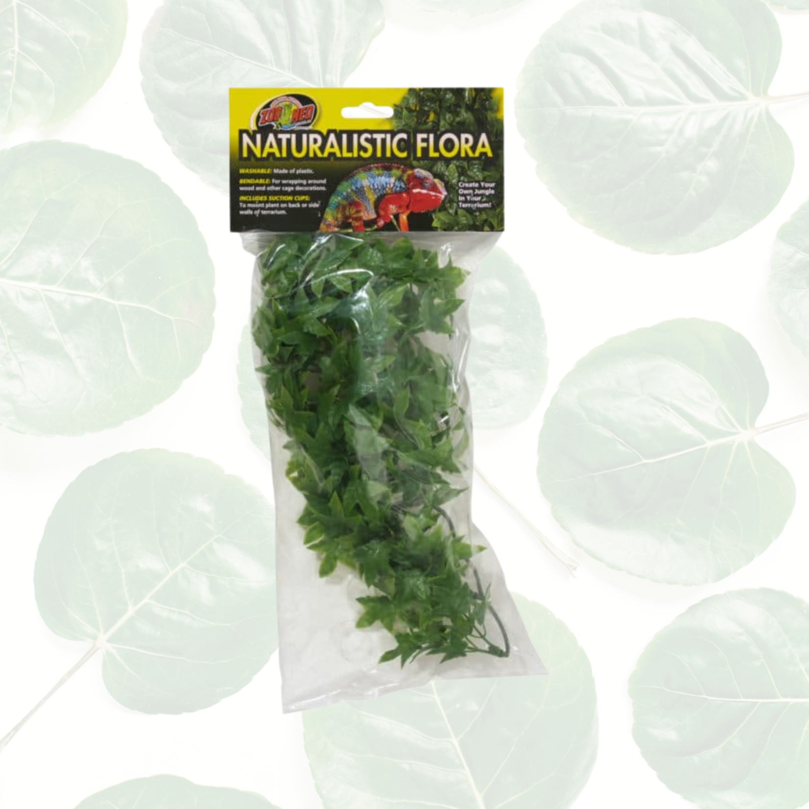 Zoo Med Congo Ivy Medium