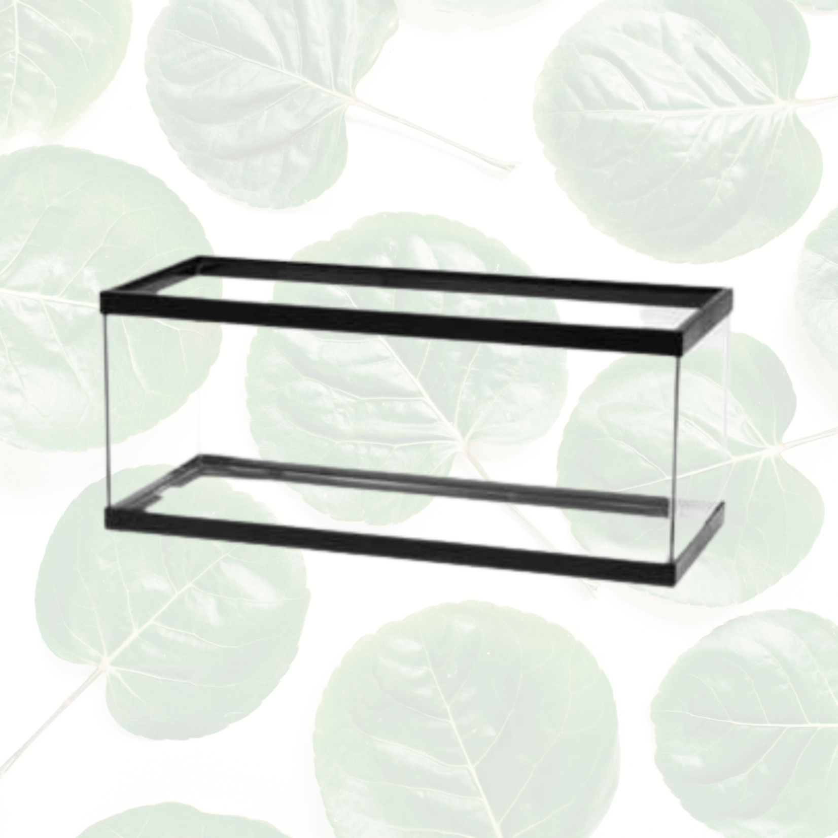 Aqueon Black Breeder Tank 10gal 20x10x12”