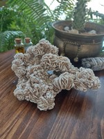 Desert Rose Cluster