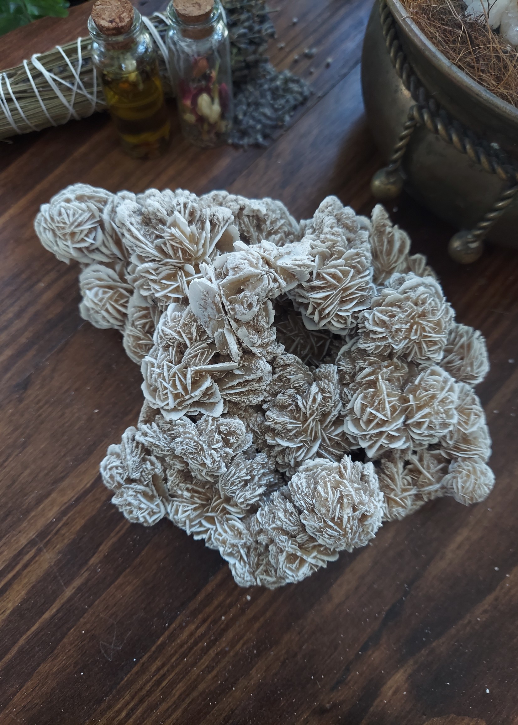 Desert Rose Cluster