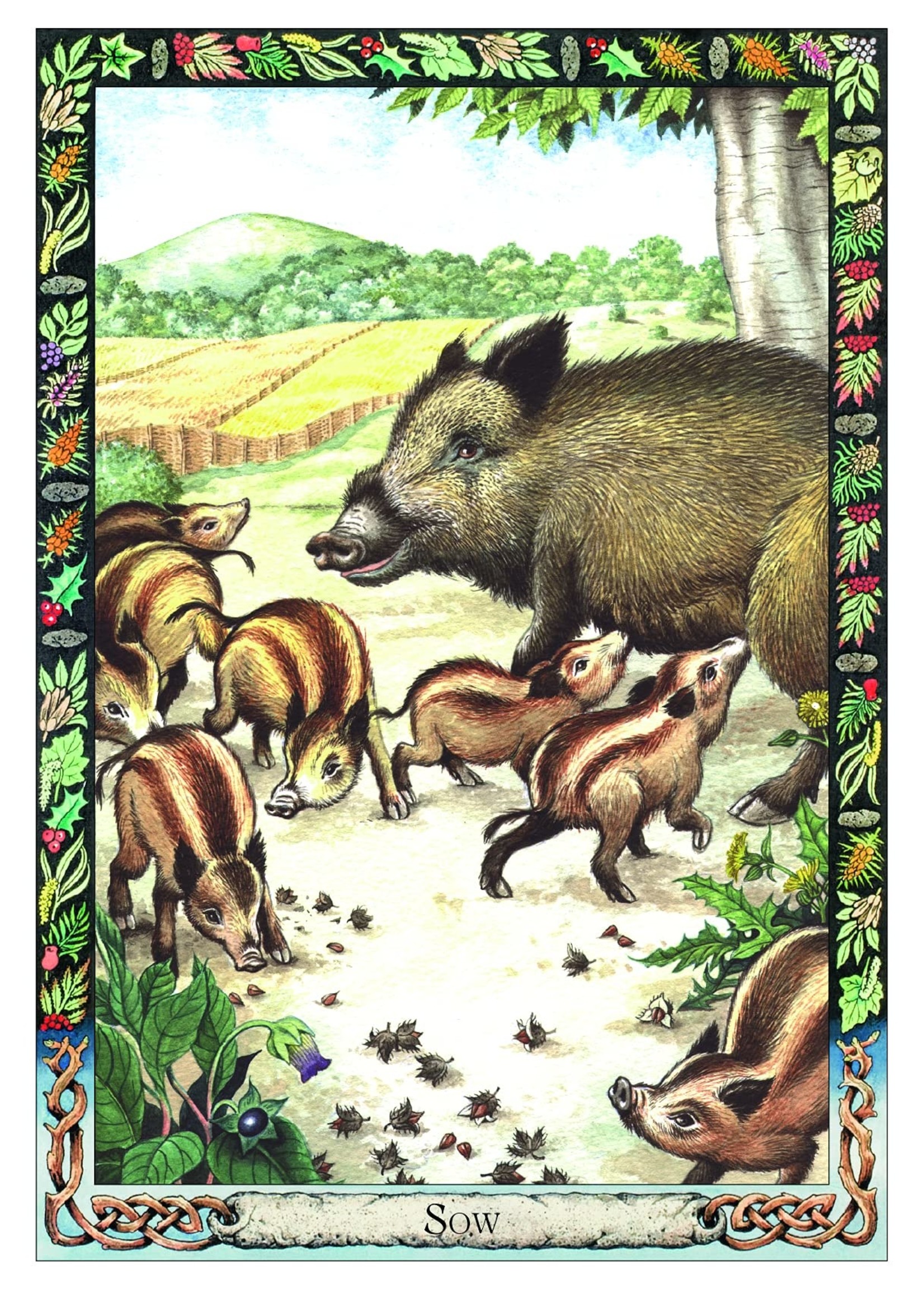 Druid Animal Oracle Deck - Elsewhere Apothecary and Bookstore Druid Animal Oracle Deck - Elsewhere Apothecary and Bookstore