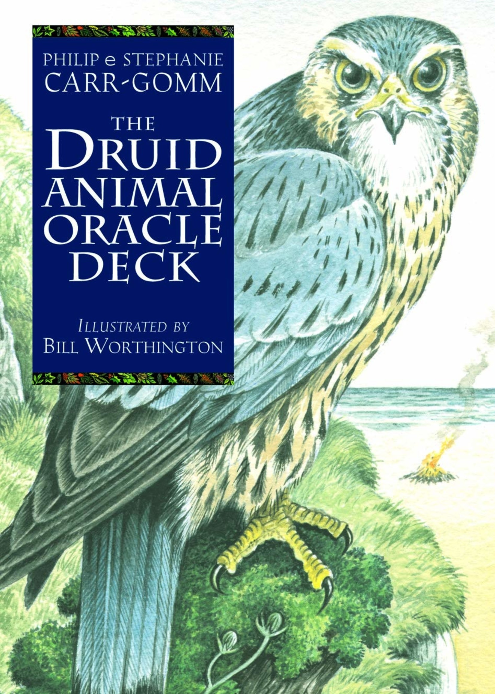 Druid Animal Oracle Deck - Elsewhere Apothecary and Bookstore Druid Animal Oracle Deck - Elsewhere Apothecary and Bookstore