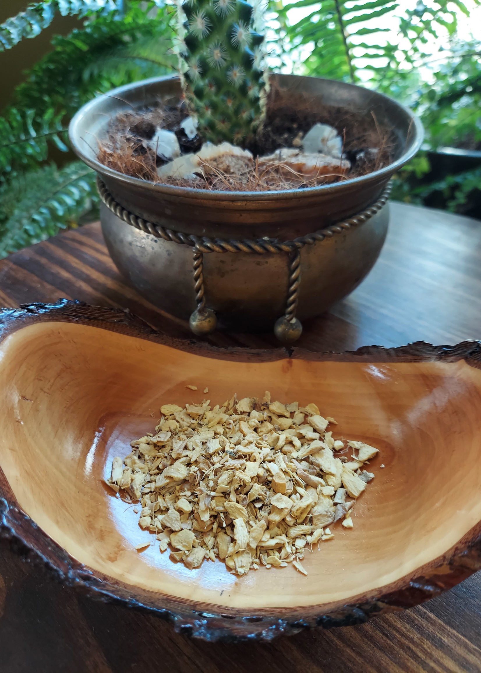Elsewhere Ginger Root