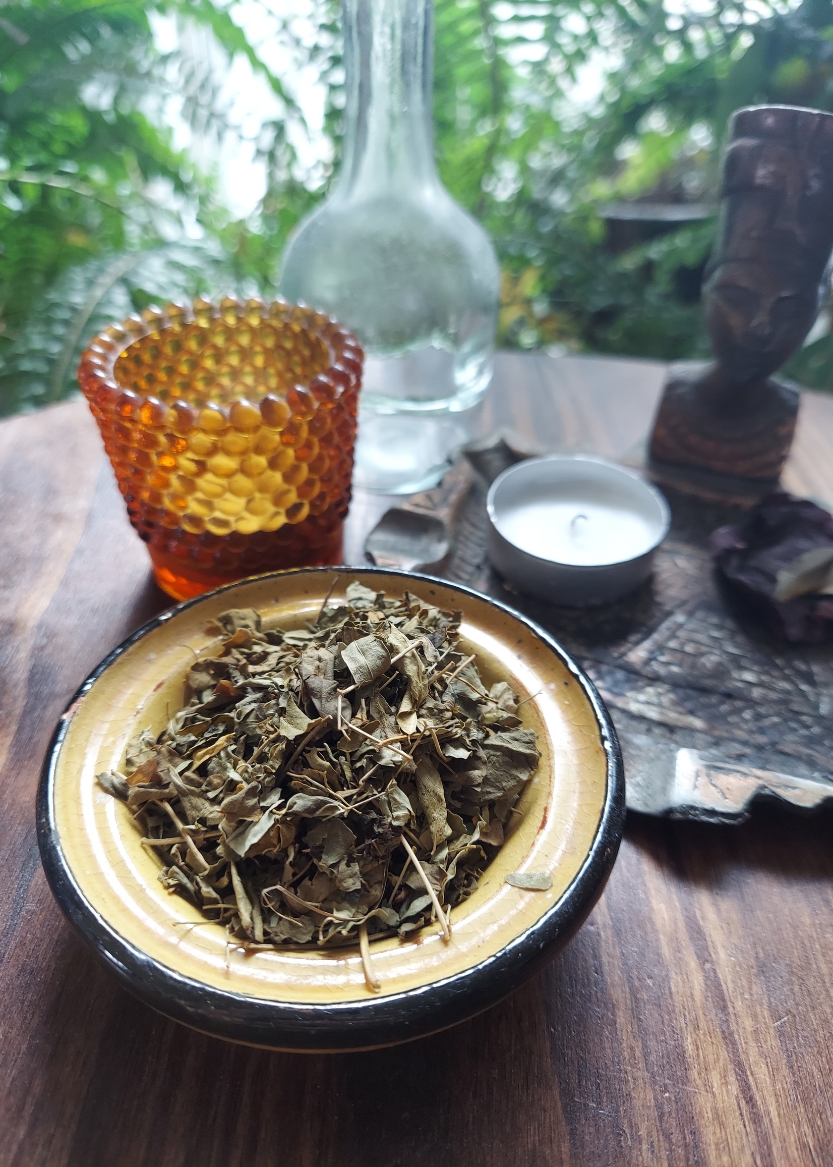 Elsewhere Moringa Leaf