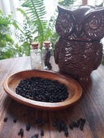 Elsewhere Elderberries