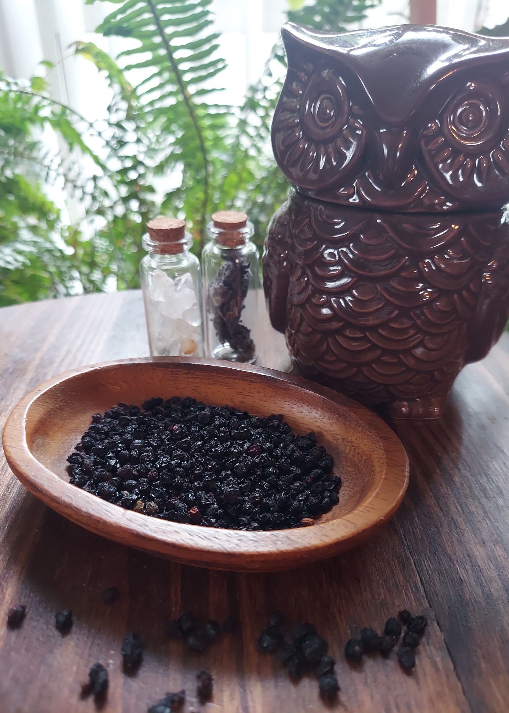 Elsewhere Elderberries