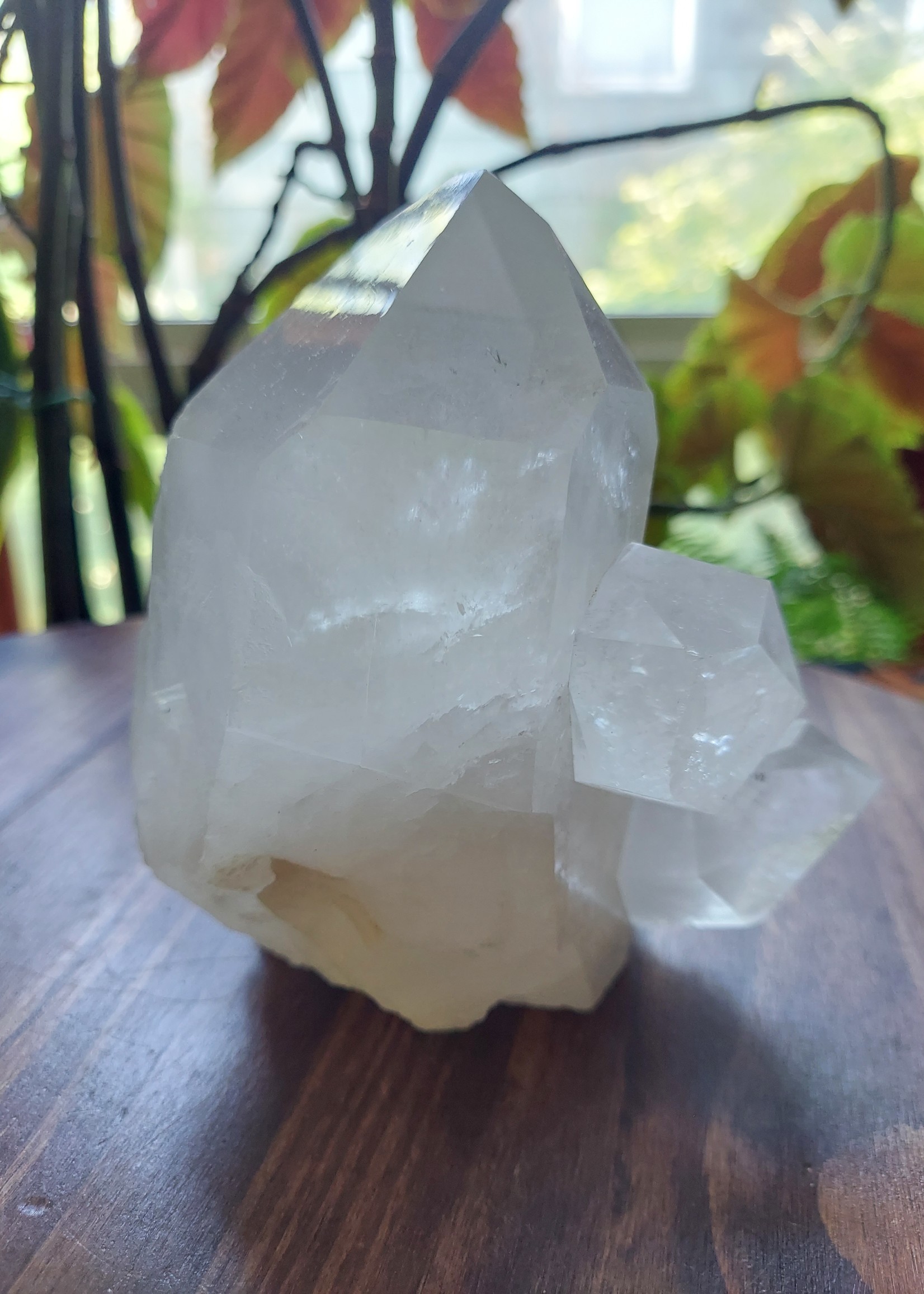 Clear Quartz Cluster